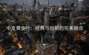 中支黄金叶：经典与创新的完美融合