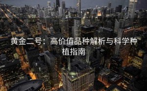 黄金二号：高价值品种解析与科学种植指南