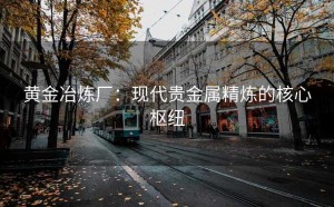 黄金冶炼厂：现代贵金属精炼的核心枢纽