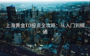 上海黄金TD投资全攻略：从入门到精通