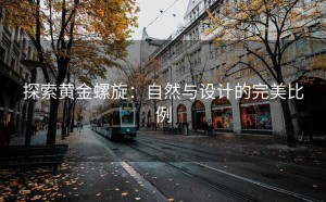 探索黄金螺旋：自然与设计的完美比例