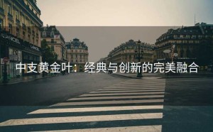 中支黄金叶：经典与创新的完美融合