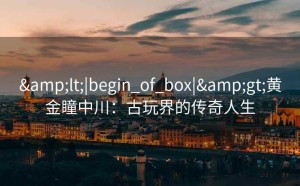 <|begin_of_box|>黄金瞳中川：古玩界的传奇人生