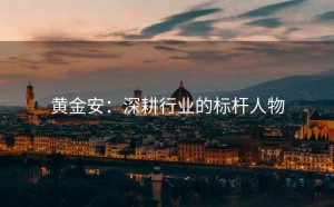 黄金安：深耕行业的标杆人物