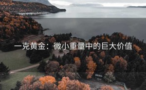 一克黄金：微小重量中的巨大价值