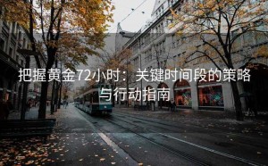 把握黄金72小时：关键时间段的策略与行动指南