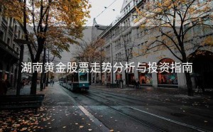 湖南黄金股票走势分析与投资指南