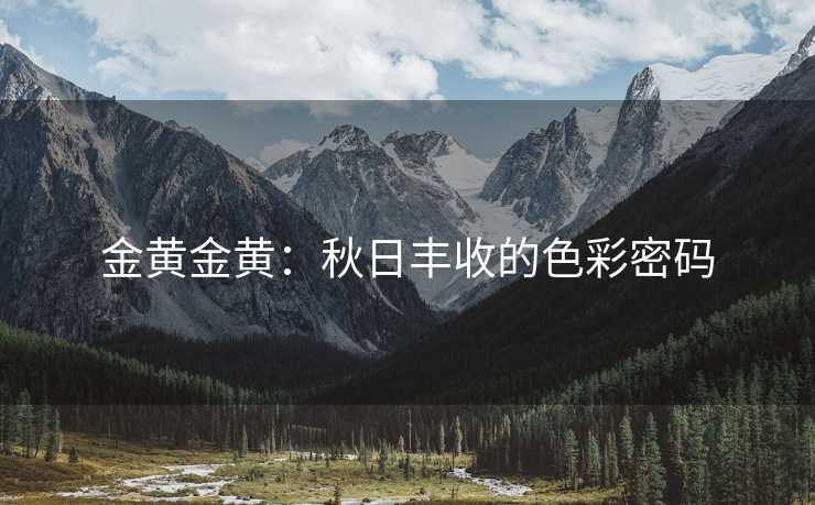 金黄金黄：秋日丰收的色彩密码