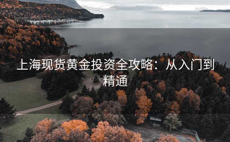 上海现货黄金投资全攻略：从入门到精通