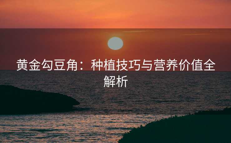 黄金勾豆角：种植技巧与营养价值全解析