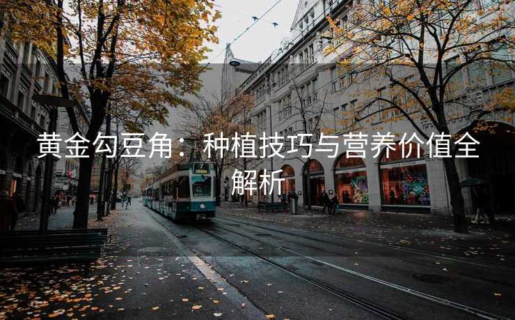 黄金勾豆角：种植技巧与营养价值全解析