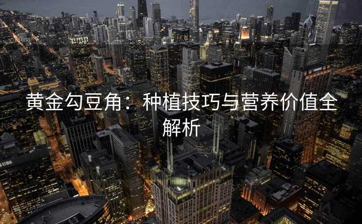 黄金勾豆角：种植技巧与营养价值全解析