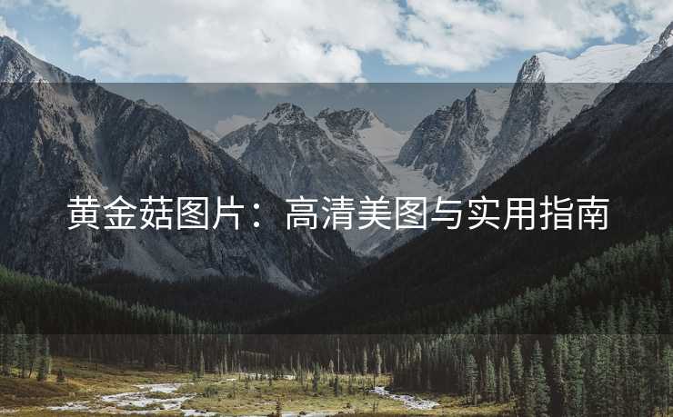 黄金菇图片：高清美图与实用指南