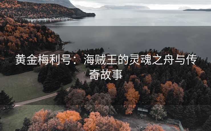 黄金梅利号：海贼王的灵魂之舟与传奇故事