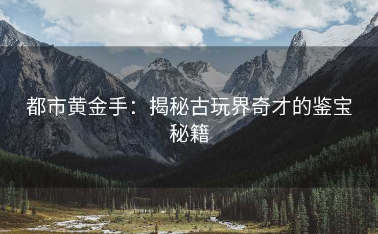 都市黄金手：揭秘古玩界奇才的鉴宝秘籍