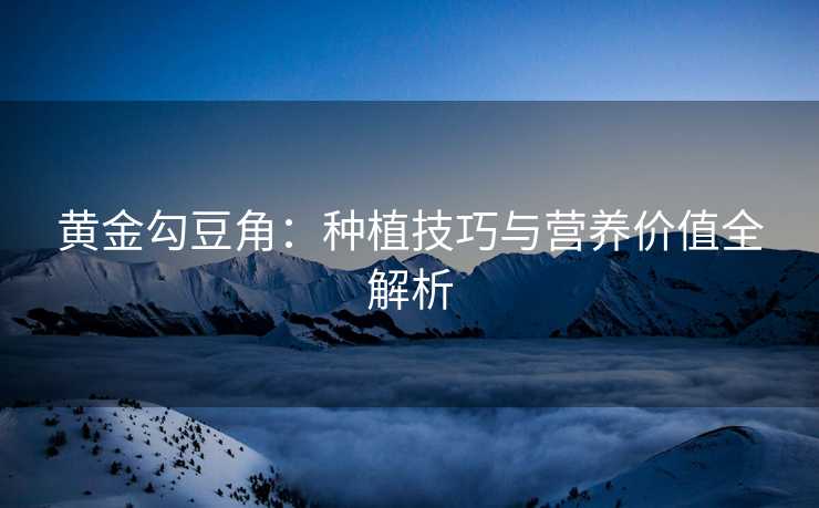 黄金勾豆角：种植技巧与营养价值全解析