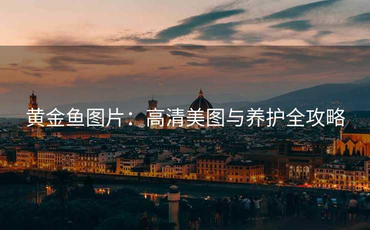 黄金鱼图片：高清美图与养护全攻略