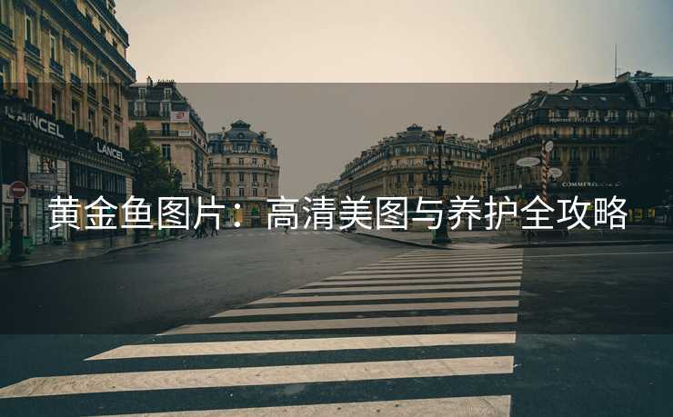 黄金鱼图片：高清美图与养护全攻略