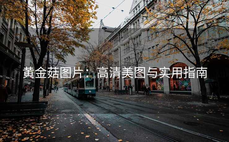 黄金菇图片：高清美图与实用指南