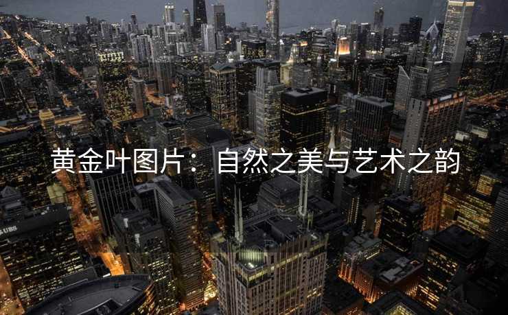 黄金叶图片：自然之美与艺术之韵