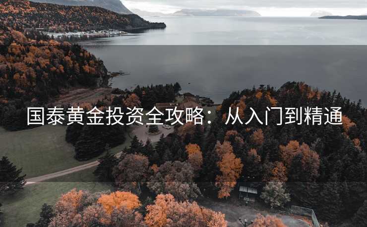 国泰黄金投资全攻略：从入门到精通