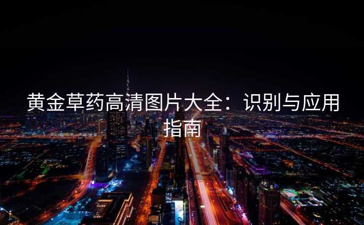 黄金草药高清图片大全：识别与应用指南