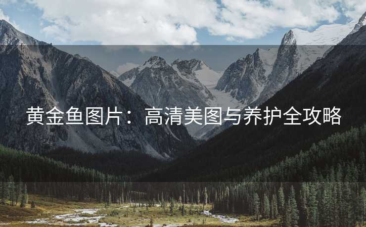 黄金鱼图片：高清美图与养护全攻略
