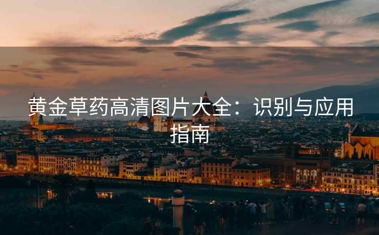 黄金草药高清图片大全：识别与应用指南