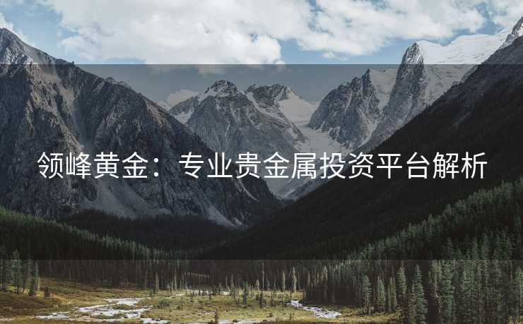 领峰黄金：专业贵金属投资平台解析
