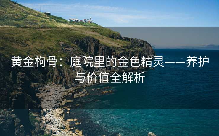 黄金枸骨：庭院里的金色精灵——养护与价值全解析