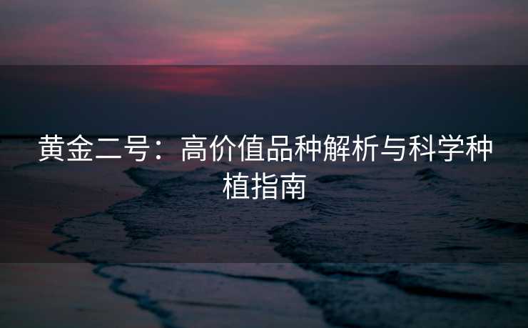 黄金二号：高价值品种解析与科学种植指南