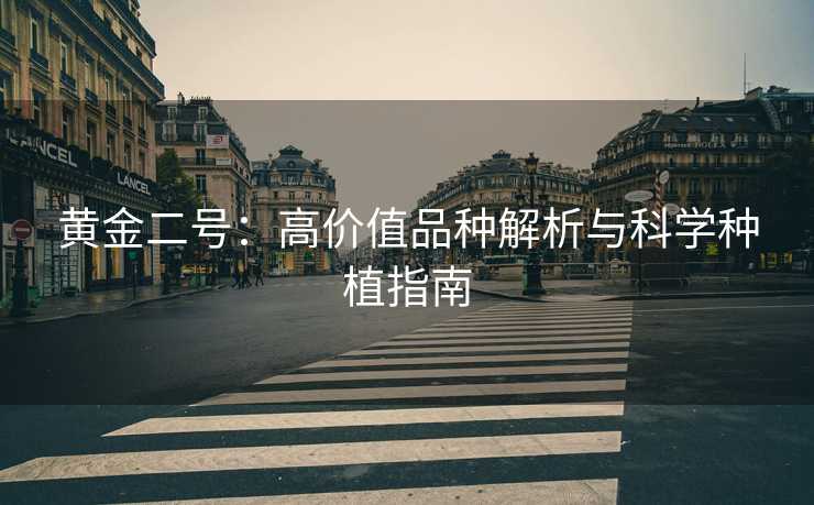 黄金二号：高价值品种解析与科学种植指南