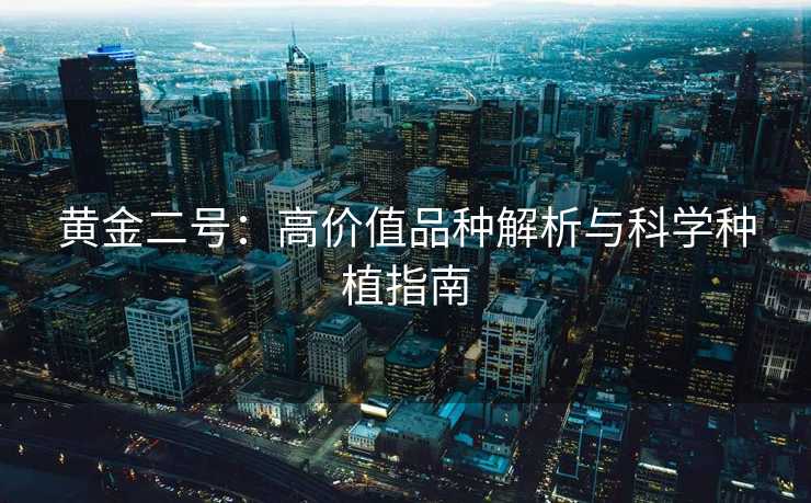 黄金二号：高价值品种解析与科学种植指南