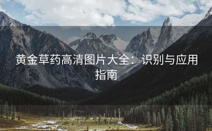 黄金草药高清图片大全：识别与应用指南