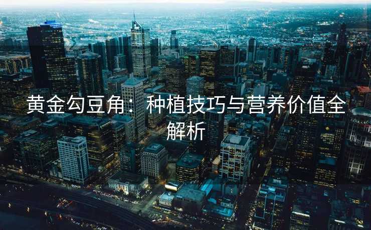 黄金勾豆角：种植技巧与营养价值全解析