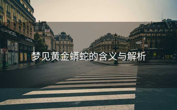 梦见黄金蟒蛇的含义与解析