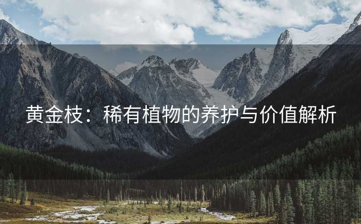 黄金枝：稀有植物的养护与价值解析