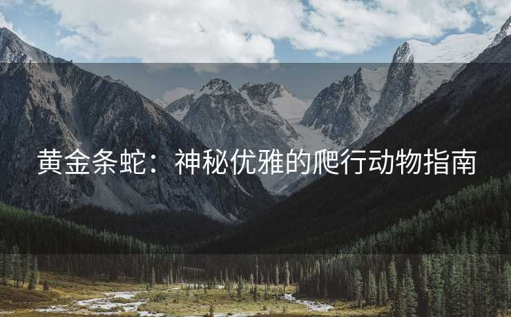 黄金条蛇：神秘优雅的爬行动物指南