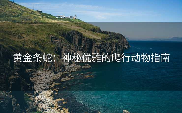 黄金条蛇：神秘优雅的爬行动物指南