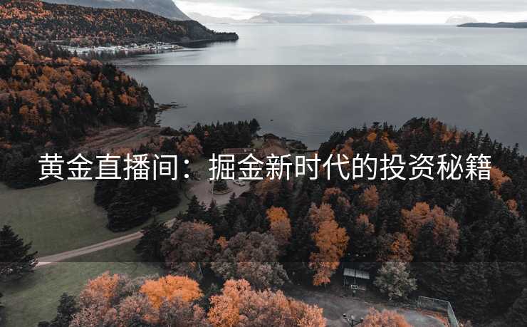 黄金直播间：掘金新时代的投资秘籍