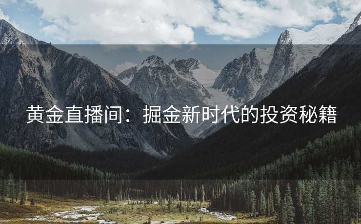 黄金直播间：掘金新时代的投资秘籍