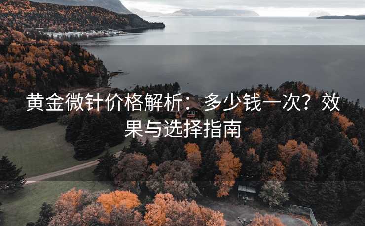 黄金微针价格解析：多少钱一次？效果与选择指南