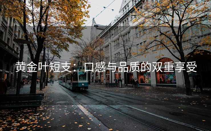 黄金叶短支：口感与品质的双重享受