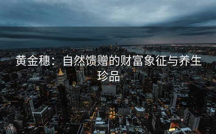 黄金穗：自然馈赠的财富象征与养生珍品