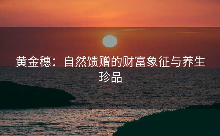 黄金穗：自然馈赠的财富象征与养生珍品