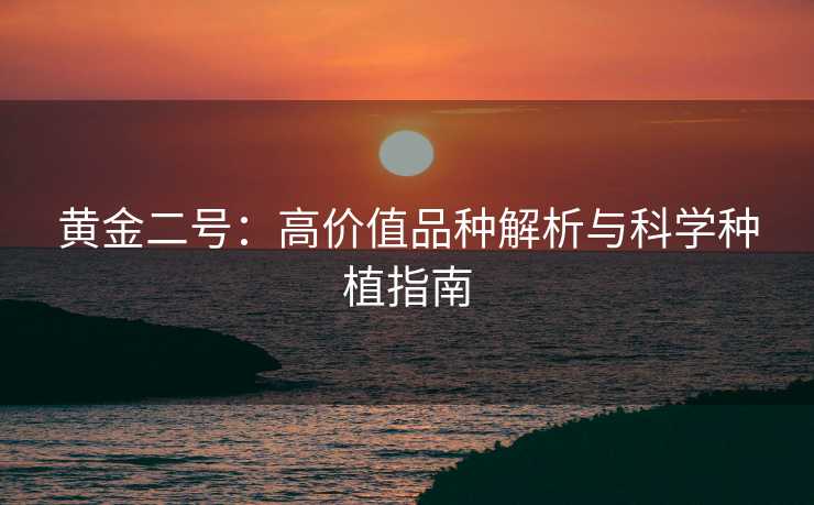 黄金二号：高价值品种解析与科学种植指南