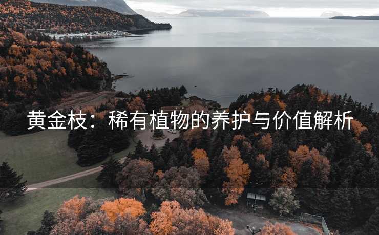 黄金枝：稀有植物的养护与价值解析