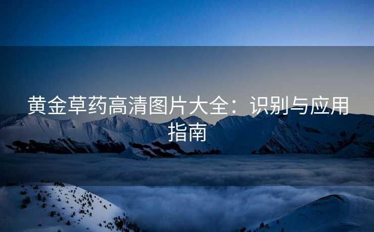 黄金草药高清图片大全：识别与应用指南