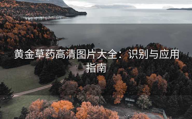 黄金草药高清图片大全：识别与应用指南