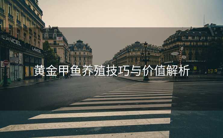 黄金甲鱼养殖技巧与价值解析